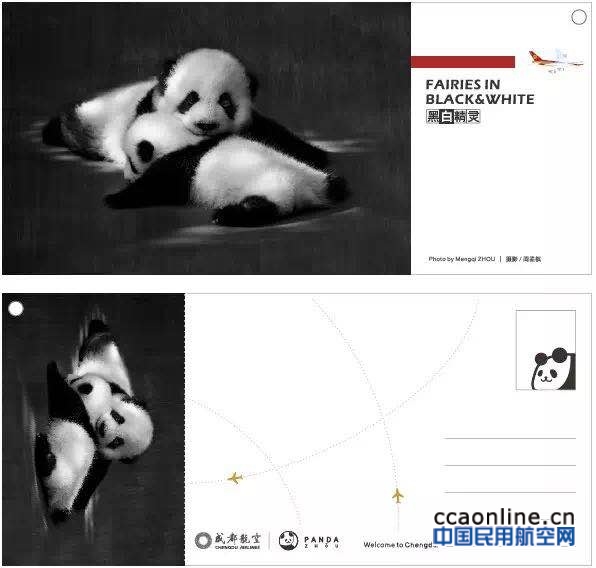 成都航空“黑白精灵”熊猫明信片正式发布