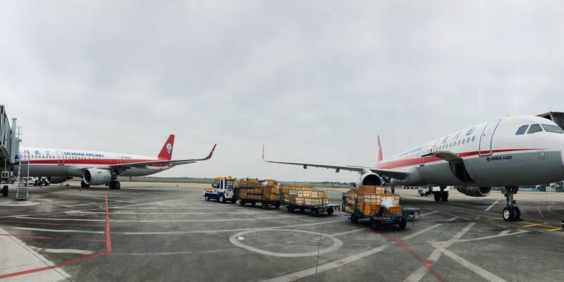 海产品舞台，北海机场2月运输货邮565吨
