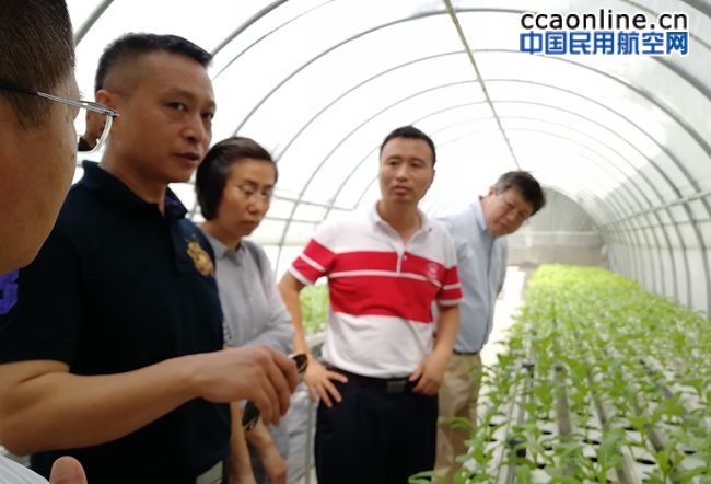 三亚空管站和市南繁科技研究院在热带岛屿举行蔬菜大棚揭牌仪式