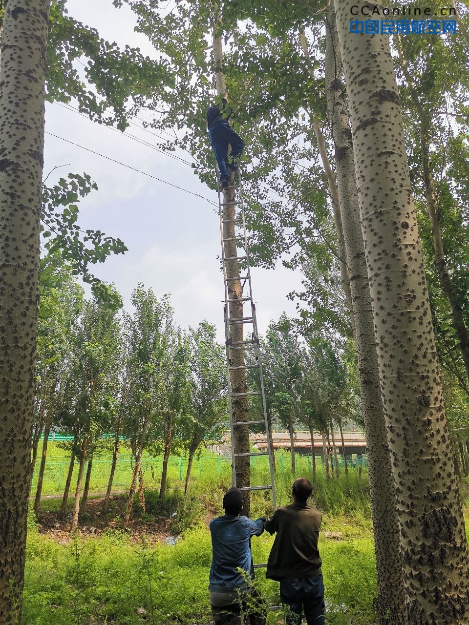 战暑运疾风知劲草  保安全雷雨见真功