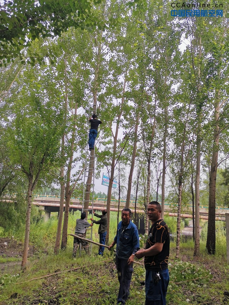 战暑运疾风知劲草  保安全雷雨见真功