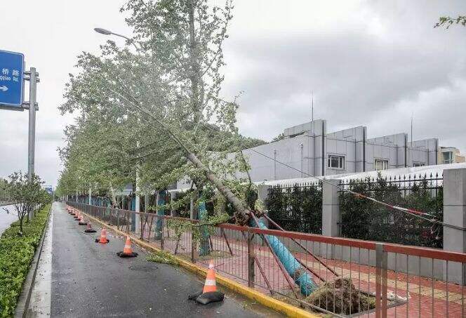 台风过后,道一句:“你们辛苦了!”