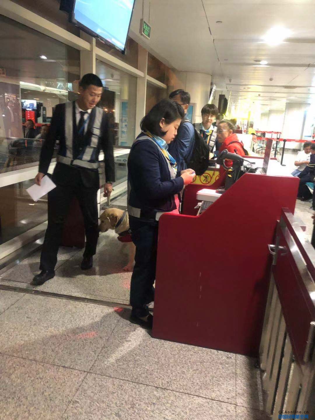 内蒙古民航机场地服分公司用心保障携带导盲犬盲人旅客