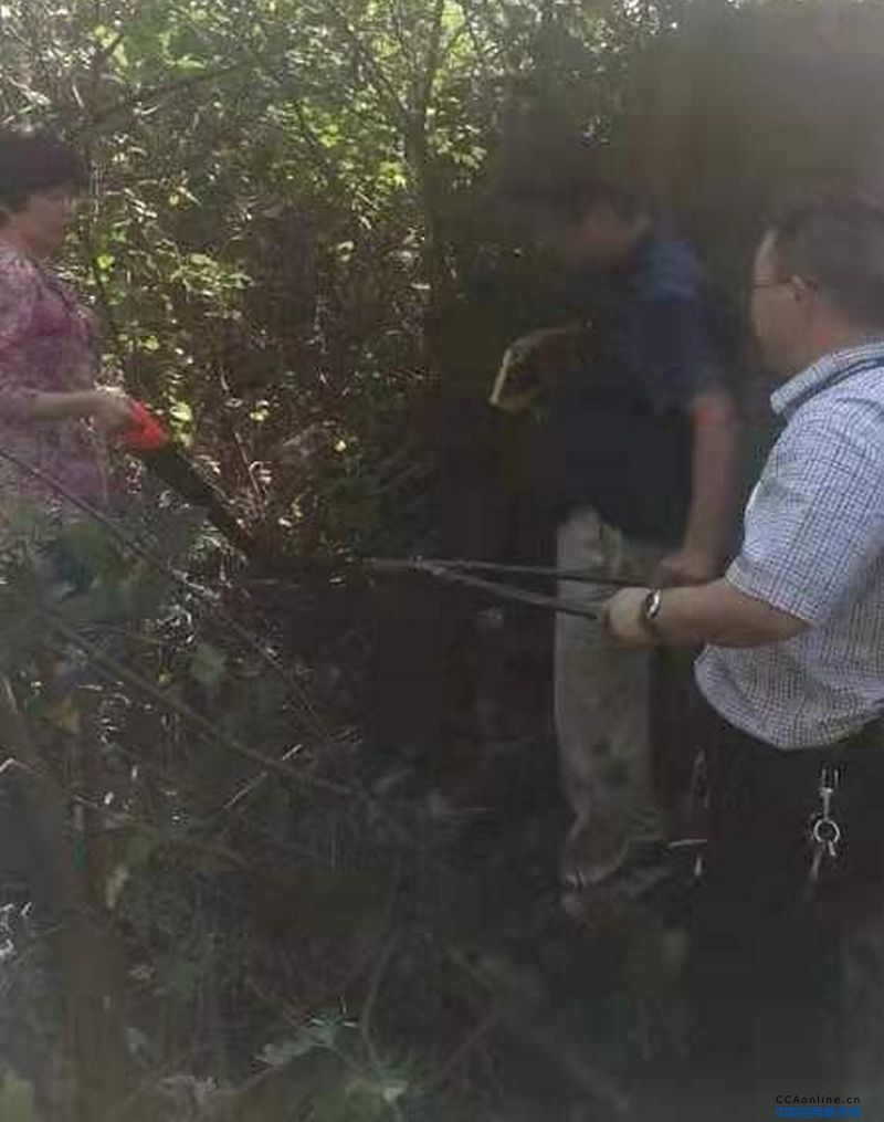 黄山机场蓝服公司党员活动日组织党员清理超高树木