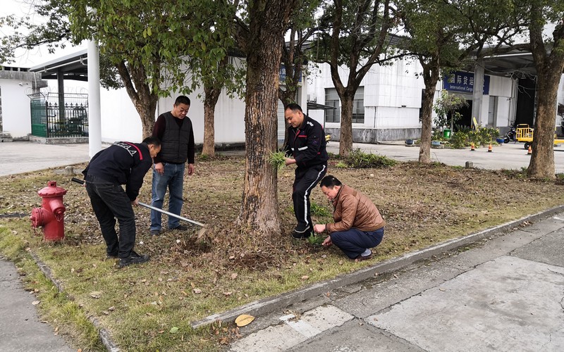 黄山机场客货公司党员群众共同美化货站周边环境