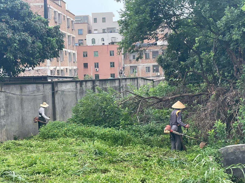 孕妇可以吃枸杞吗，孕妇吃枸杞需要注意五点，才能更滋补