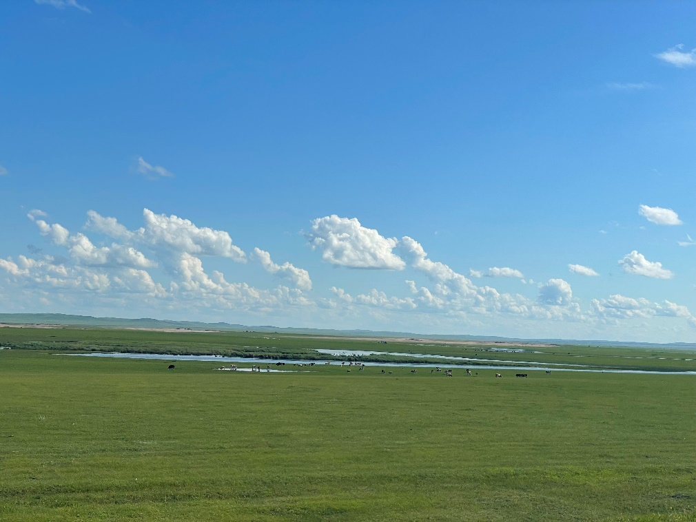 奥凯航空在行动——守护心中最美大草原