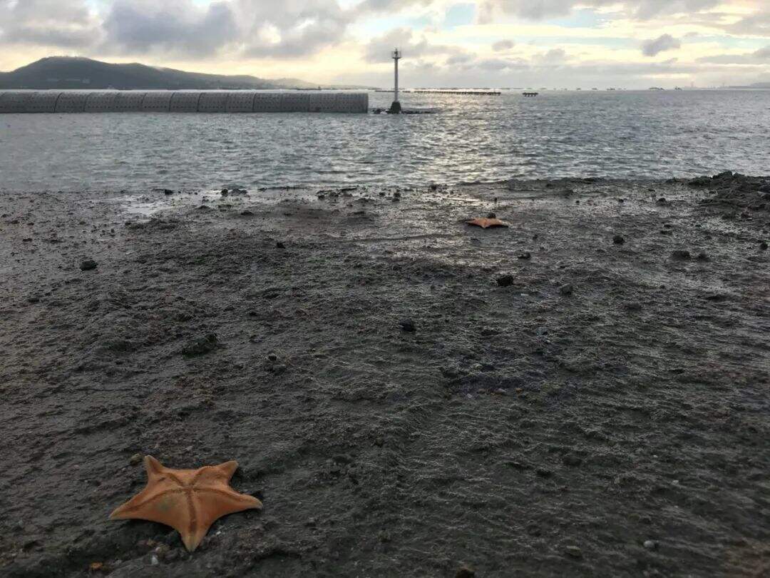 台风和台风的命名