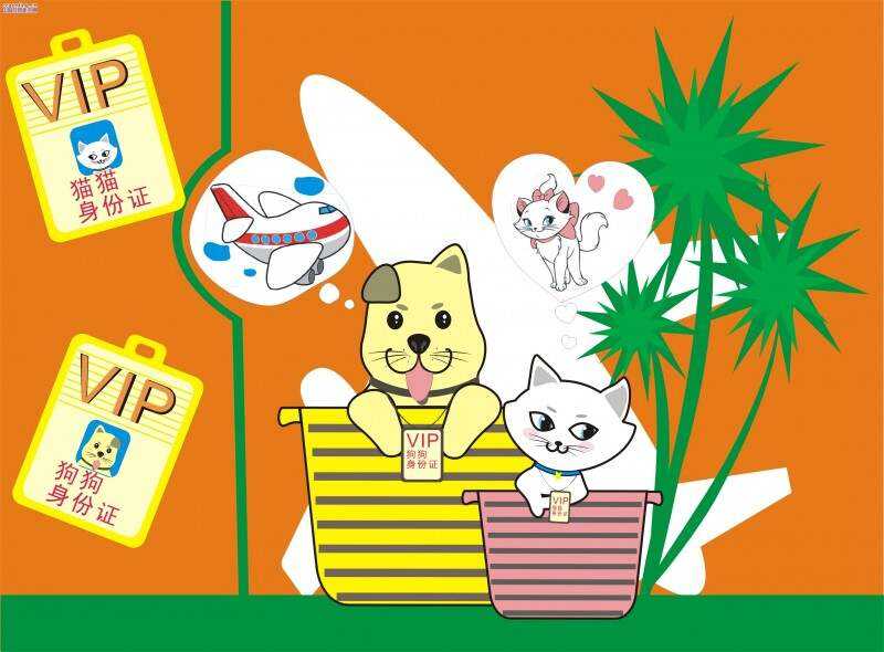 白云机场物流让您这个暑假和爱宠一起飞