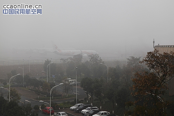 长水机场大雾见闻：机场保障到位 旅客秩序井然