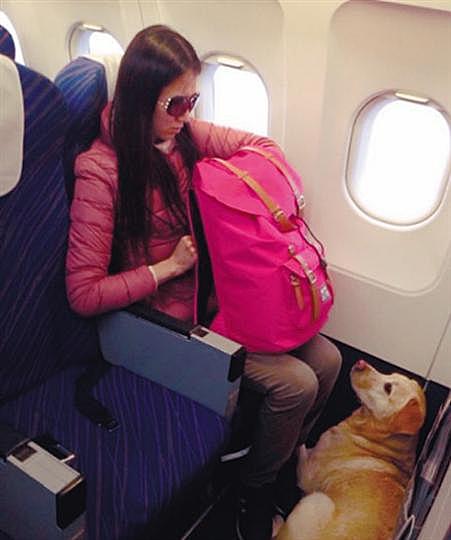 盲人携导盲犬乘机遭拒 民航局：导盲犬能上飞机