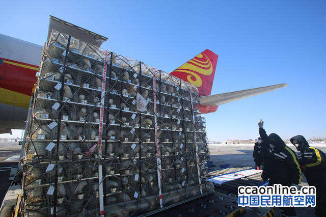 哈爾濱機場完成揚子江航空全貨機種貂運輸保障
