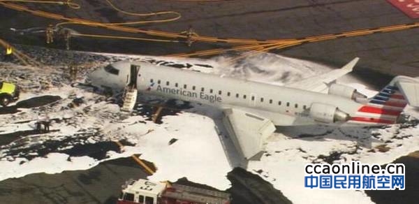 美航一飞机撞鹿紧急返航，44名乘客被疏散