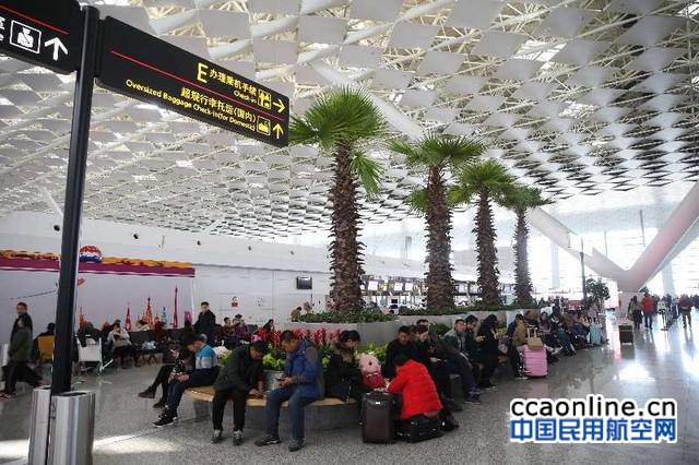 郑州机场新开多条专用安检通道，将开郑沪快线通道