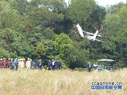 赛斯纳飞机疑发动机故障，飞机紧急迫降到树上