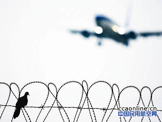 哈尔滨机场引进机场鸟情信息系统