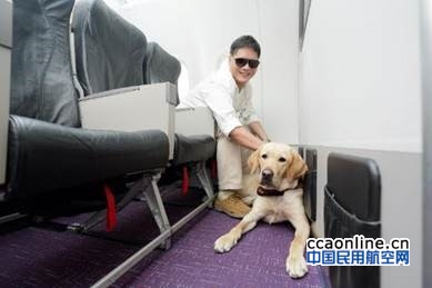 香港快运航空为导盲犬使用者提供实地登机体验