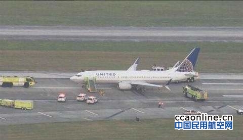 美联航客机遭飞鸟撞机，发动机着火折返芝加哥
