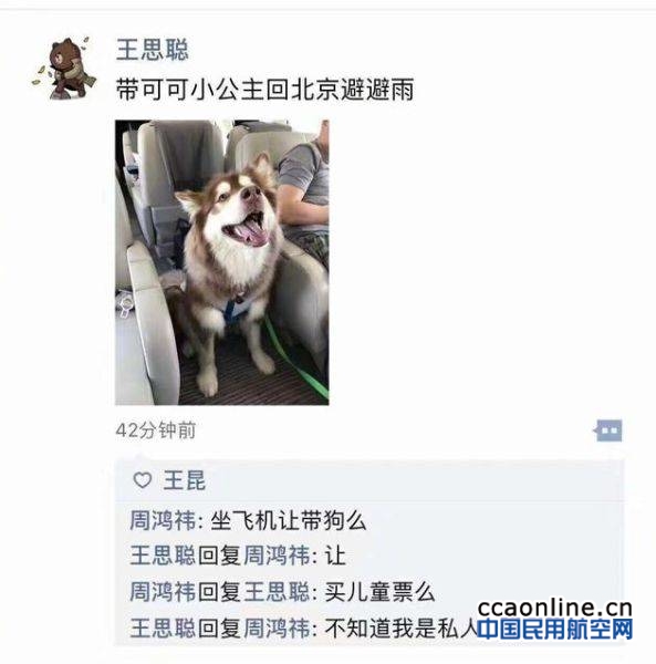 王思聪带爱犬乘机，业内：私人飞机客舱也不能带狗