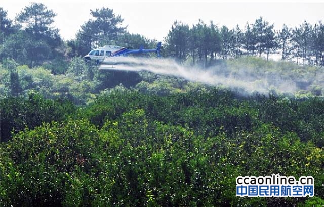 天祥通航直升机完成南丰植保作业面积4万余亩