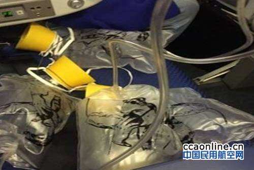 全日空氧气罩落下，空姐颤抖广播吓坏乘客