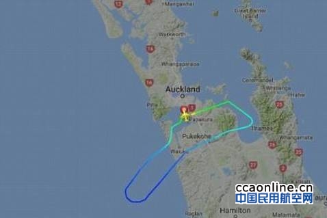 新西兰航空客机飞行途中突遭雷劈，乘客惊声尖叫
