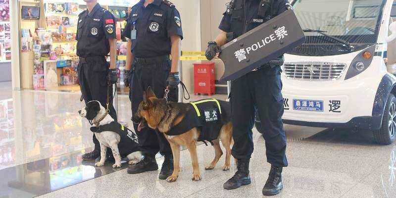 哈爾濱機場警犬上崗執勤