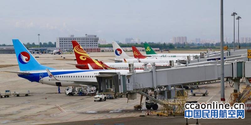 石家庄机场客流量突破800万人次，同比增长24.1%
