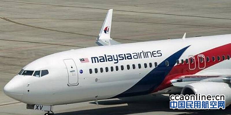 英专家称发现MH370：在柬埔寨密林，机身似有缺口