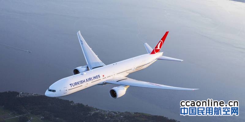 土耳其航空八月上座率达85.6%再创新高