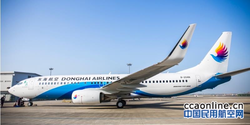 东海航空董事长拟在香港成立“香港紫荆航空”，发展国内及东南亚短途航线