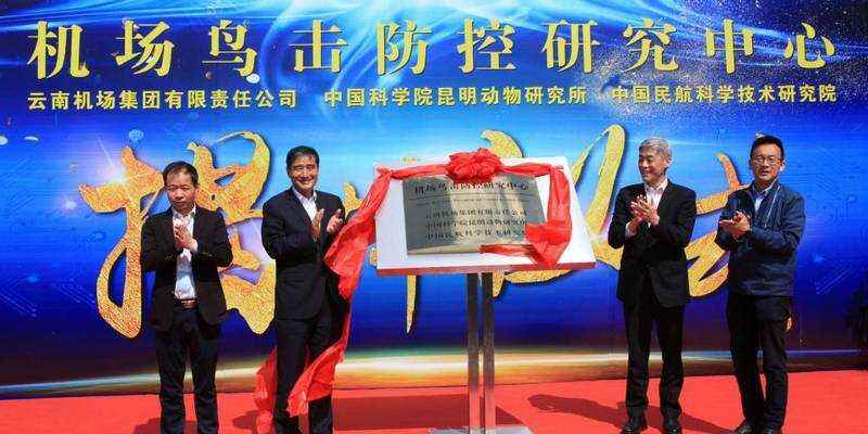 国内首个机场鸟击防控研究中心在昆明机场挂牌