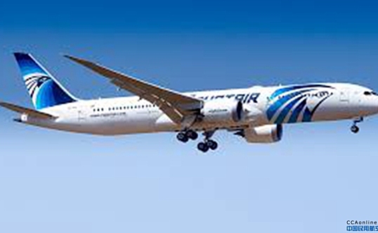埃及航空持续执飞货运航班，“客改货”助力医疗物资运送