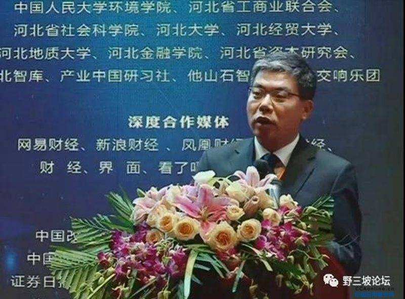 張國華：區域經濟新格局需要有效政府與有為市場
