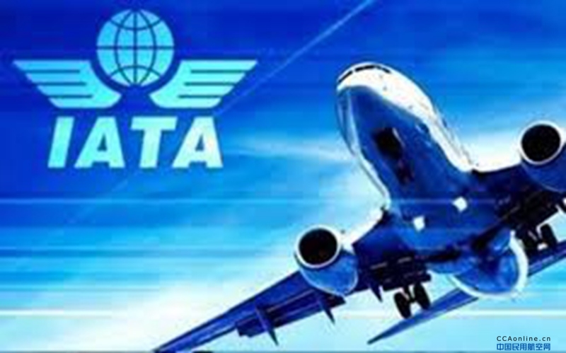 国际航协称中国国内航空市场或处于拐点