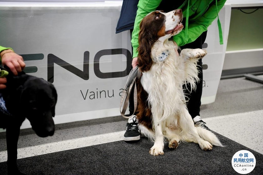 芬兰赫尔辛基机场将部署嗅探犬探测新冠病毒