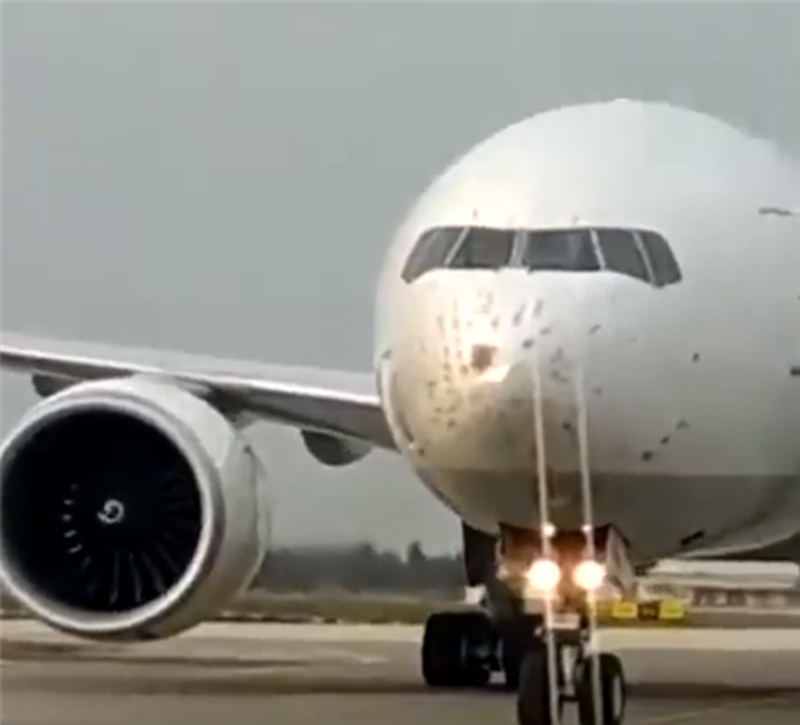 波音777飞机撞上鸟群，紧急放油返航