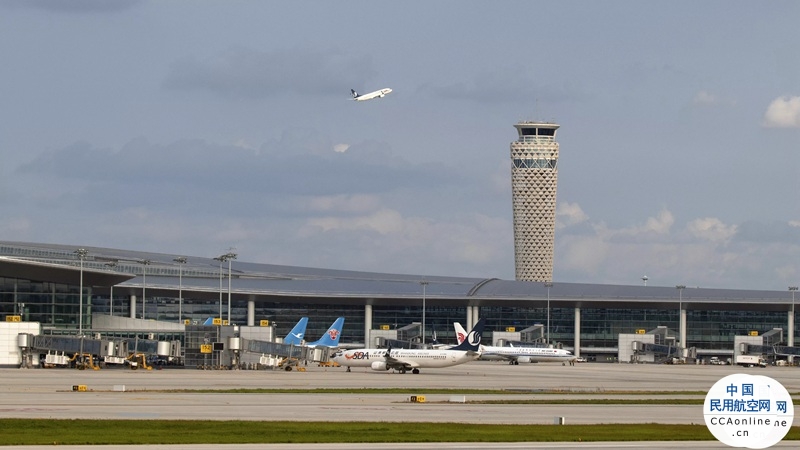 元旦假期青岛机场起降航班872架次 运送旅客8.6万人次