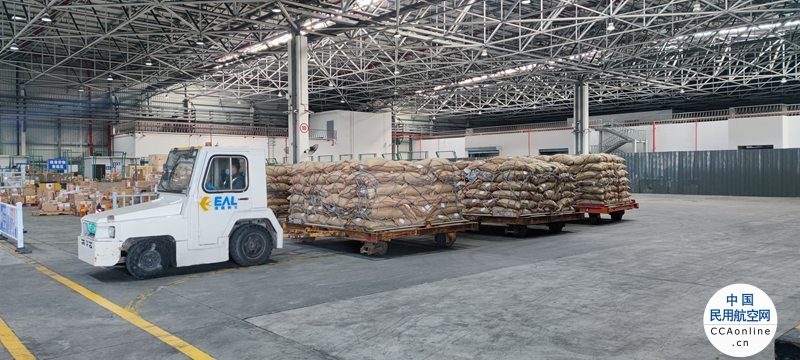 45吨阿富汗松子“直飞”上海  东航物流提供全方位到港服务