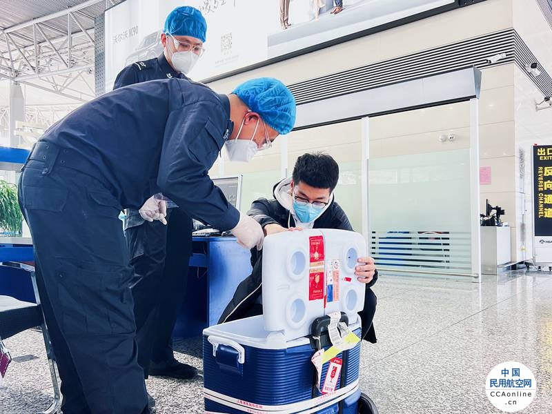 生命接力！石家庄机场联合驻场航空公司全力保障人体器官紧急运输