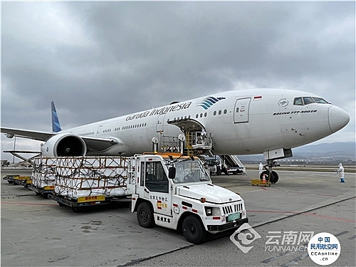 云南开通首条飞往澳洲跨境电商航空货运专线