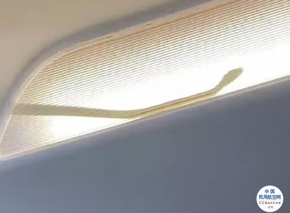 马来西亚一名乘客在航班飞行途中拍到一条蛇在头顶隔层内爬行
