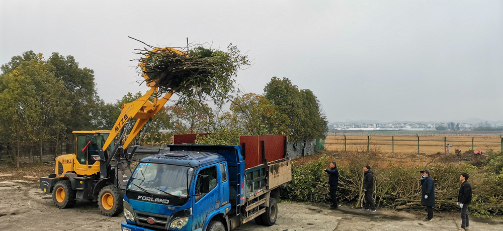 黄山机场在“两高一场”环境整治中践行生态环保新理念