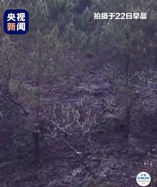 东航客机坠毁区域树木烧焦