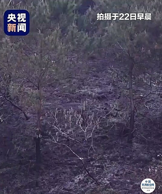 东航客机坠毁区域树木烧焦