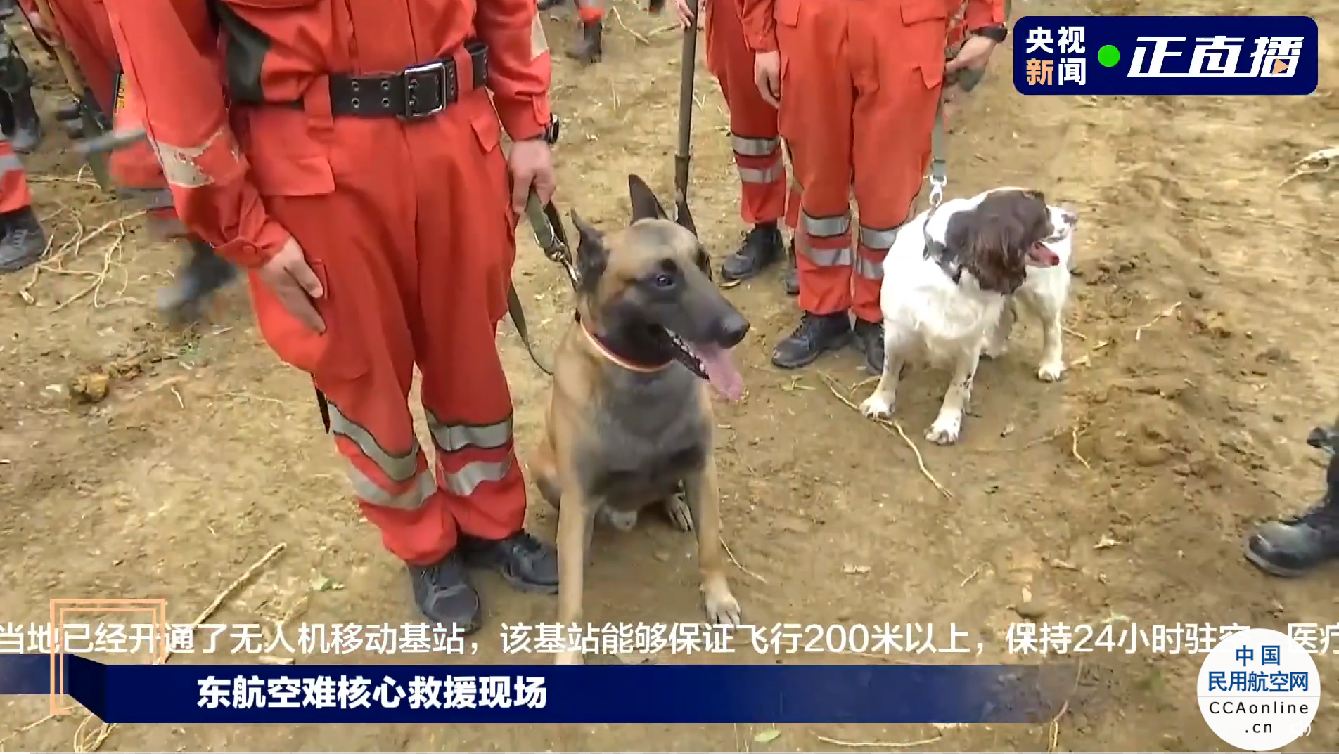 坠机核心区应急照明灯已升起，救援人员带着搜救犬寻找生命迹象