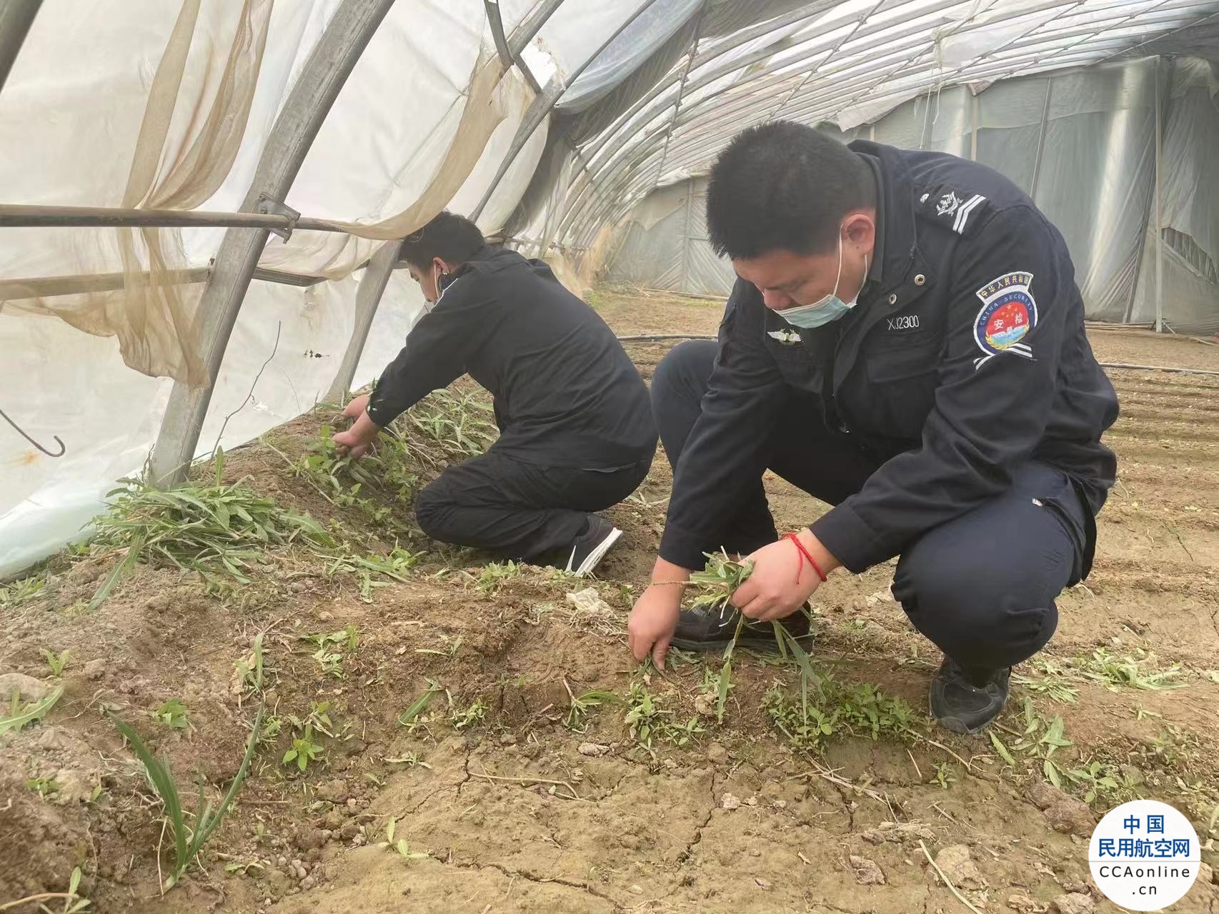 且末机场开展“除草真实践，劳动最光荣”青年志愿活动