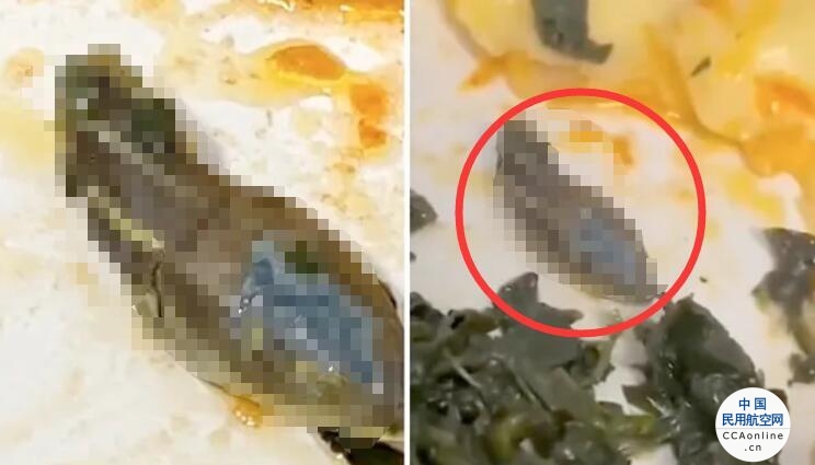 土耳其航班空乘人员称在飞机餐中发现蛇头