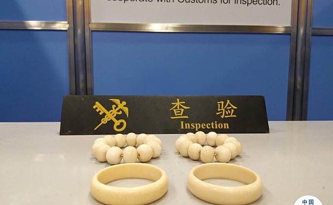 上海浦东机场海关查获违规携带入境象牙制品4件