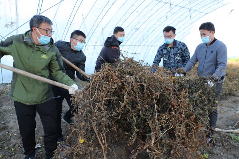 美化空管环境  建设温馨小家——呼伦贝尔空管站在封闭运行的周末组织机关全体人员义务劳动清理大棚的干菜秧